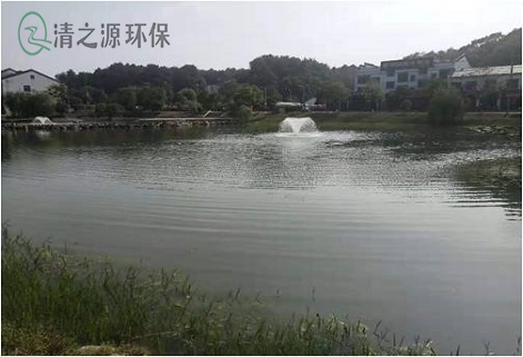 农村池塘的污水净化处理可以用哪些方法